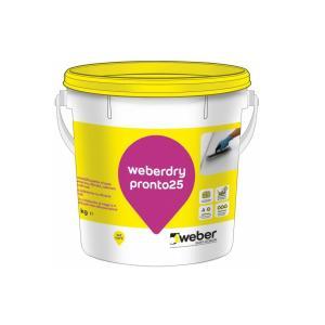 Guaina liquida impermeabilizzante  dry pronto25 grigio 20kg