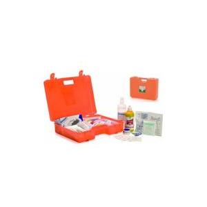 Valigetta pronto soccorso  +3 lavoratori