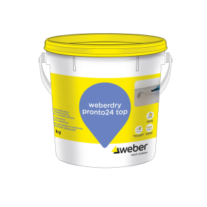 Guaina liquida impermeabilizzante  dry pronto24 top grigio 20kg