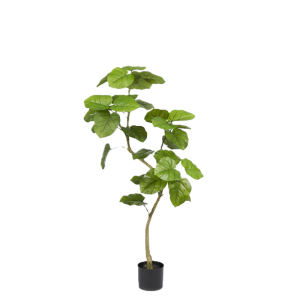 Pianta artificiale  ficus umbrellata con vaso h120cm