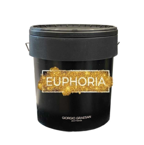 Pittura decorativa Euphoria argento Giorgio Graesan 4kg