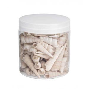 Decorazione conchiglia  450g art. 0209567