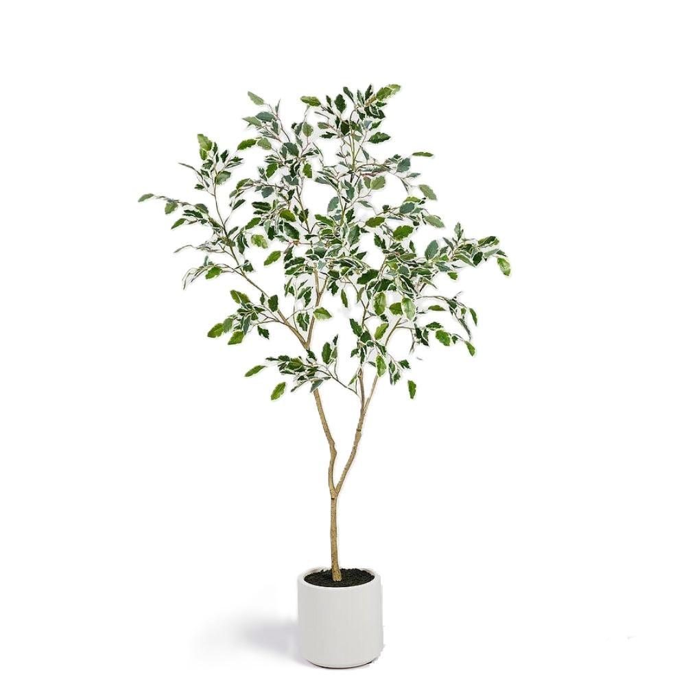 Pianta artificiale EDG Ficus con vaso H150cm 