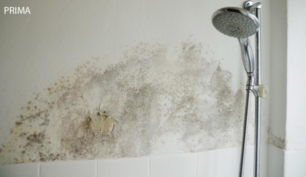 Stucco anticondensa termoisolante Baixens RX-317 Isolxtrem pronto all'uso 10kg